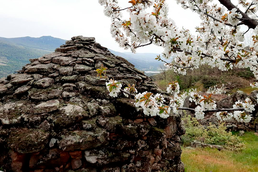 Alojamientos rurales en el Valle del Jerte | Alameda del Jerte - 3